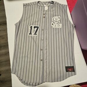 Rawlings baseball jersey vest 17 SF Adult Large Grey Blue Stripe Gray